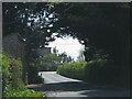 Trees meet across this minor road