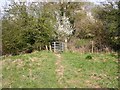 Kissing gate on Centenary Way, Honington