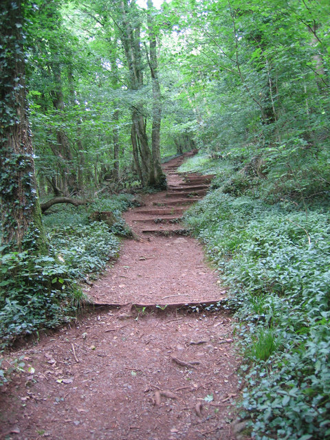 Woodland Footpath © Charles Drown Geograph Britain And Ireland