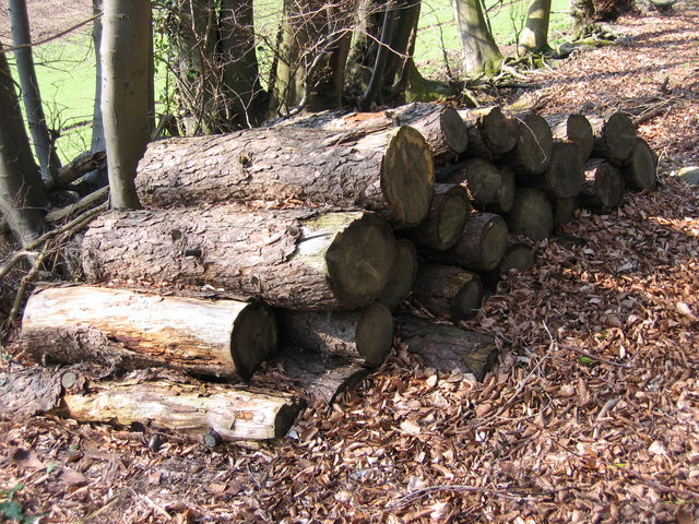Millend Wood