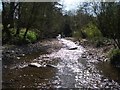 Erwood: stream at its confluence with the Wye