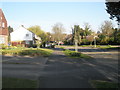 Late afternoon sun in Highfield Avenue