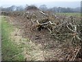 SD1094 : Laid hedge near Waberthwaite by Maigheach-gheal