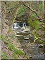 Weir on Cheesden Brook