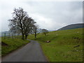 Road from Beatrix to Wood End Farm