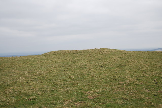 Tumulus by The South Downs Way