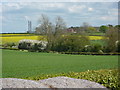 Fields near Whinley House Farm