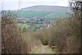 Bench with a view above Alfriston