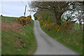 Road climbing towards Waun