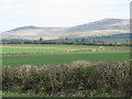 Fields on Thorndon Down