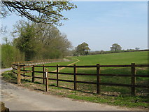 TQ0527 : Fencing by driveway to Smale Farm by Dave Spicer