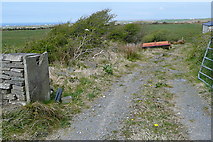 R0779 : Farm track at Kilcorcoran by Graham Horn