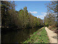 Basingstoke Canal