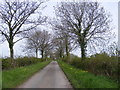 Hollow Lane, Badingham