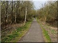 The Old Railway Line Path