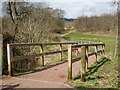 Entering Rosebank Community Woodland