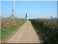 Narrow Lane north of  Watnall