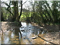 Stream at Felley Mill