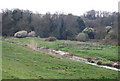 River Cuckmere south of Alfriston