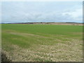 Farmland near Boghead