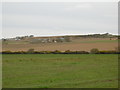 Farmland looking towards the Birks