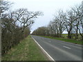 A947 towards Macduff