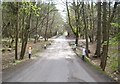 Car Park in Den Wood