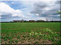 View across the fields to Claxton Farm