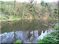 East Devon : The River Otter