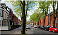 Rugby Avenue, Belfast