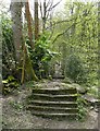 The path up to the moor from Queen