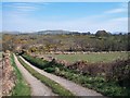 Farm road to Bryn Penrhyn