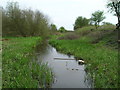 Cromford canal (disused) near Jacksdale