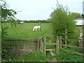 Footpath, New Brinsley