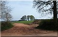 Clump of trees, Rooks Castle