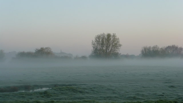 Sudbury (Suffolk), early morning mist on Freemen's Common