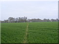 TM0837 : Footpath to Pound Lane by Geographer