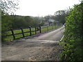 Track to Brook Farm