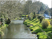 ST6364 : 2010 : River Chew looking upstream at Woollard by Maurice Pullin
