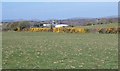 View north-westwards across pastureland in the direction of the South Caernarfon Creameries