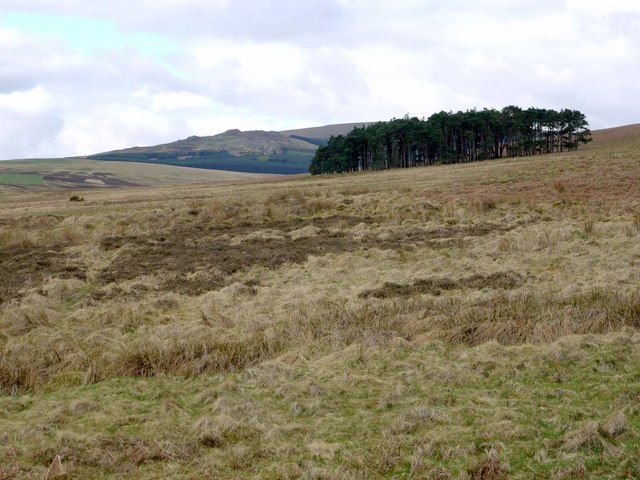 Moorland south of Heddon Hill