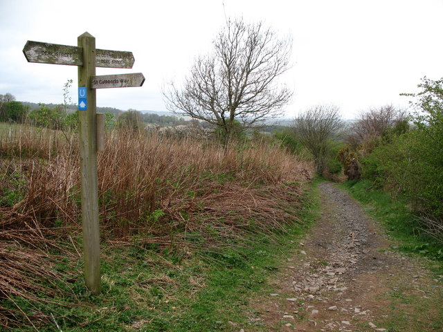 Signpost and Footpath Junction