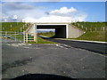 R3676 : Motorway Underpass, Co Clare by C O'Flanagan