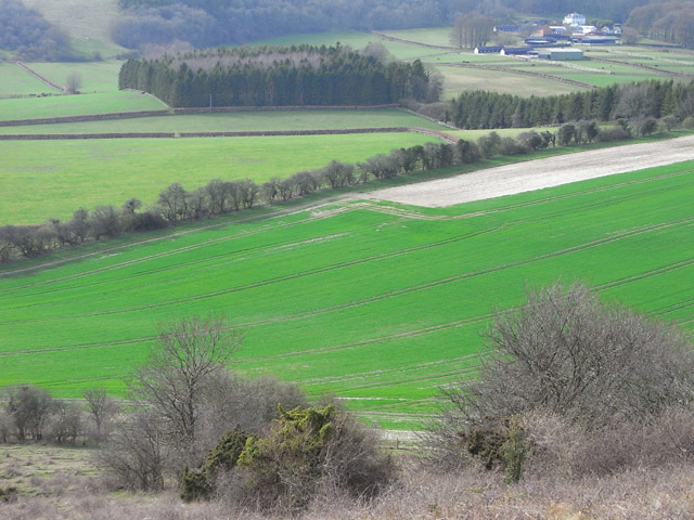 Farmland and woodland, Burghclere and Highclere