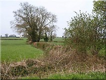 ST2735 : Field boundary by the Hamp Brook by Derek Harper