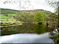 The River Wharfe