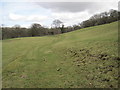 Footpath near Low Broom Hill