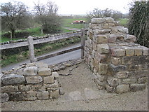 NY5764 : Site of Roman Signal Station, Hadrian's Wall near Bankshead by Les Hull