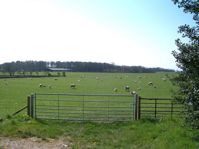 The site of the former Broom Hall Airfield
