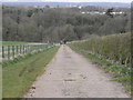 The pathway down from Tullyhogue Fort